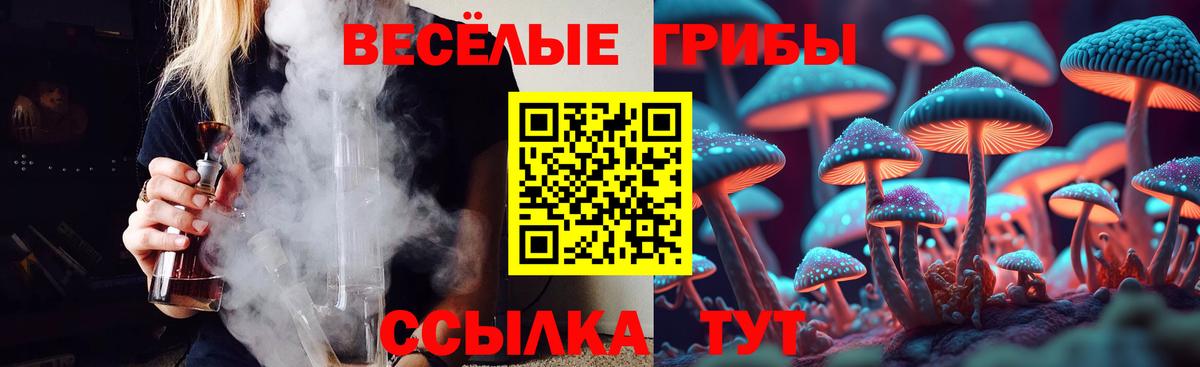Воркута  Псилоцибиновые грибы Magic Shrooms  закладка  Вход с VPN 